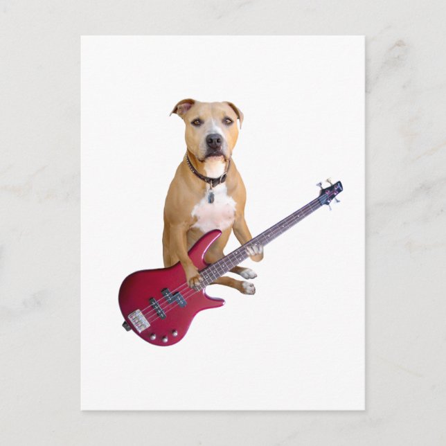 Pit Bull mit Gitarre Postkarte (Vorderseite)