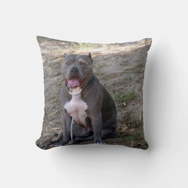 Pit Bull Pillow Kissen (Vorderseite)