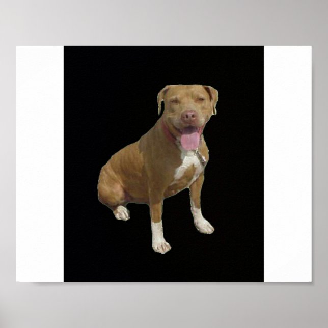 Pit Bull Poster (Vorne)
