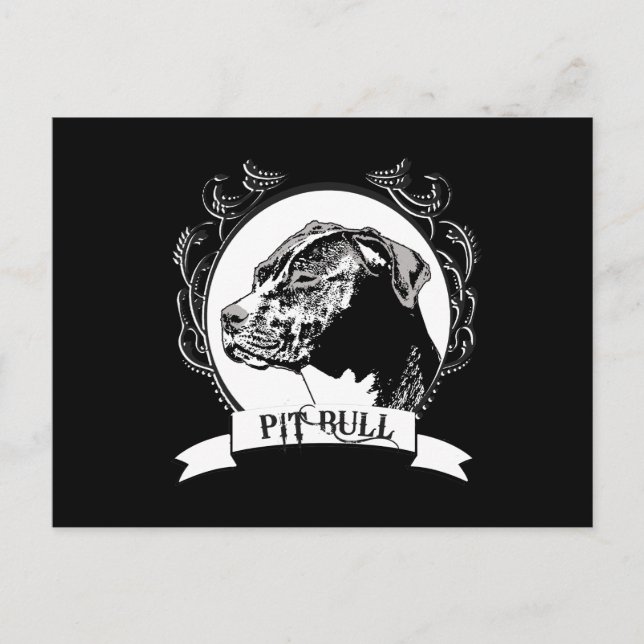 PIT BULL POSTKARTE (Vorderseite)