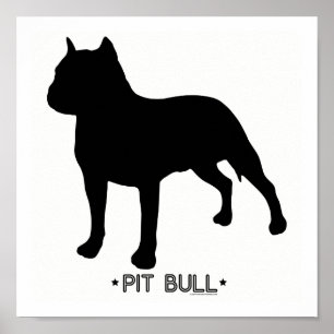 Pit Bull Print Poster