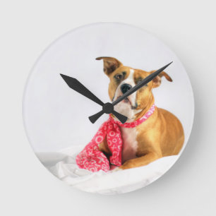 Pit Bull Puppy-Liebe in rosa XOXO Runde Wanduhr