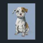 Pit Bull Puppy Sketch Zeichnend Postkarte<br><div class="desc">Diese Arbeit wurde mit Bleistift gezeichnet und dann digital mit Konte und Pastellfarben. Es ist ein zeichn eines Grubenbullen Welpen,  der mit einem Lächeln auf seinem Gesicht sitzt. Er hat einen sehr sanften Gesichtsausdruck. Er ist weiß mit bräunlichen Mustern.</div>