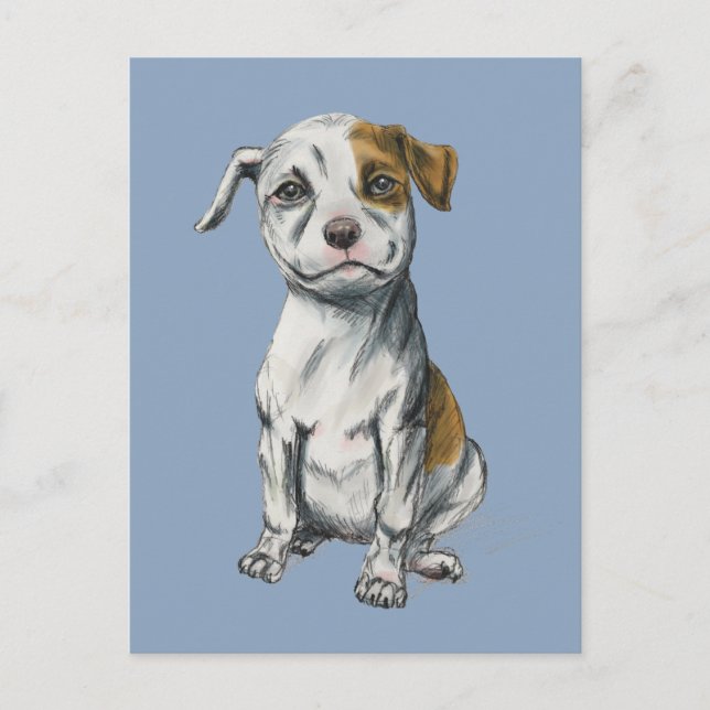Pit Bull Puppy Sketch Zeichnend Postkarte (Vorderseite)