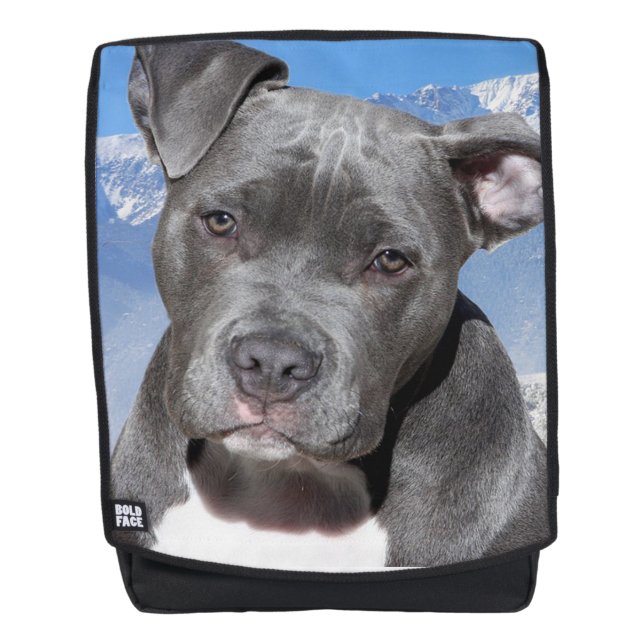 Pit Bull Rucksack (Vorderseite)