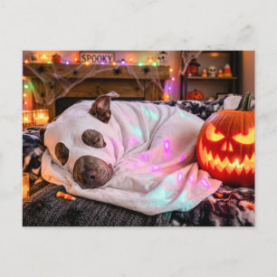 Pit Bull schläft in Geisterkostüm Halloween Postkarte