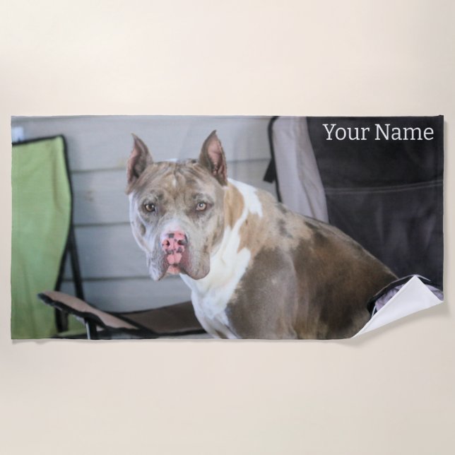 Pit Bull Strandtuch (Vorderseite)