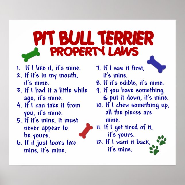 PIT BULL TERRIER PL2 POSTER (Vorne)