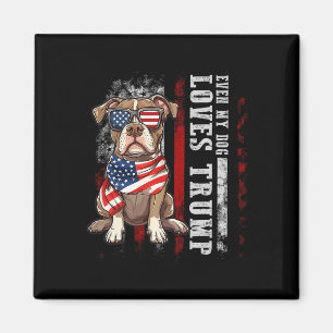 Pit Bull Terrier Sogar mein Hund liebt Trump Lusti Magnet