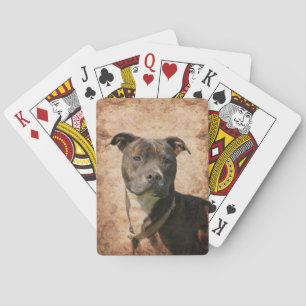 Pit Bull Terrier Spielkarten