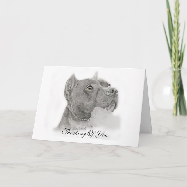 Pit Bull Thinking of You Card Karte (Vorderseite)