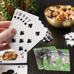 Pit Bull und Cat Spielkarten