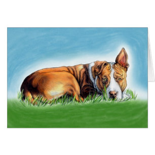 Pit Bull vous écoute