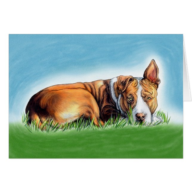 Pit Bull vous écoute (Devant horizontal)