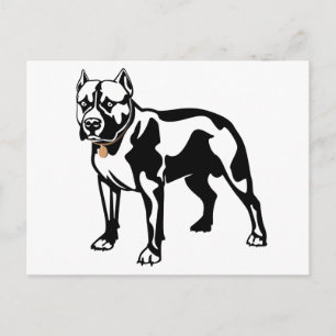 Pit Bull Welpen-Hund Leer-Postkarte Postkarte
