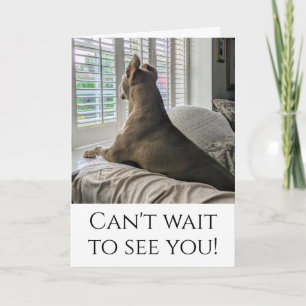 Pit Bull wird dich sehen Karte