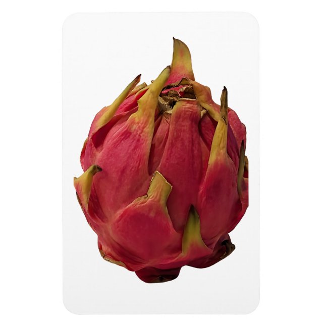 Pitaya Foto Magnet (Vertikal)