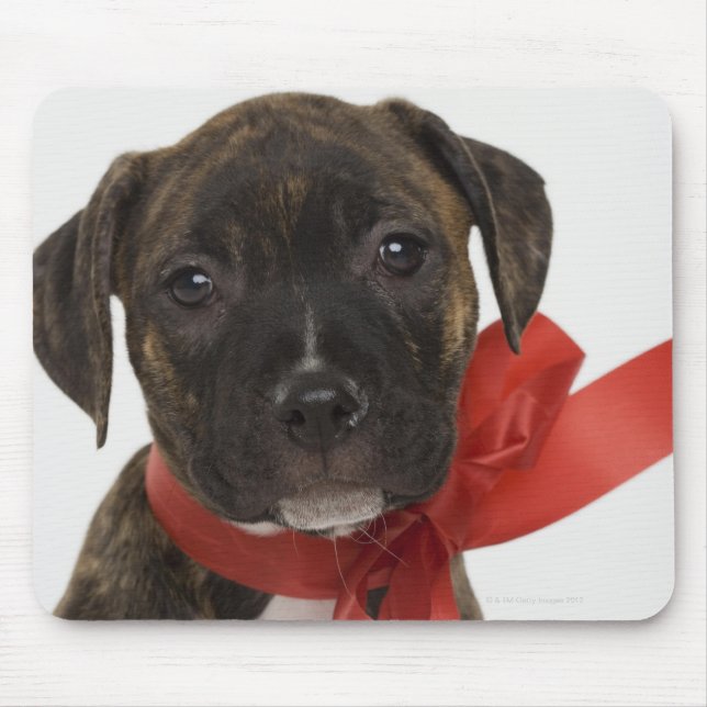 Pitbuler Welpe mit rotem Band Mousepad (Vorne)