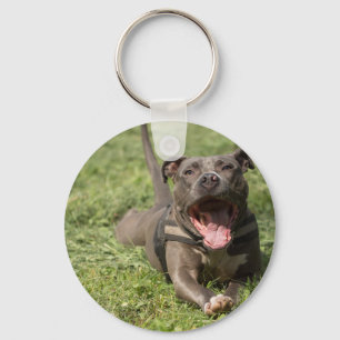Pitbuli im Gras Schlüsselanhänger
