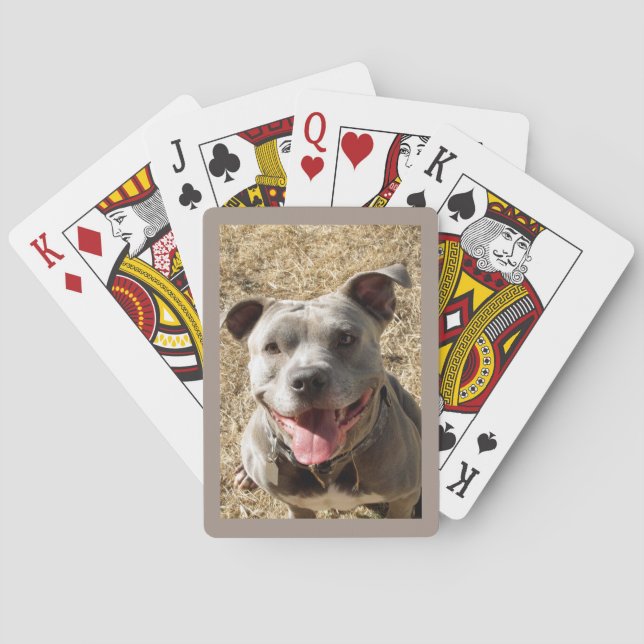 Pitbuli mit großen Lächeln, die Karten spielen Spielkarten (Rückseite)