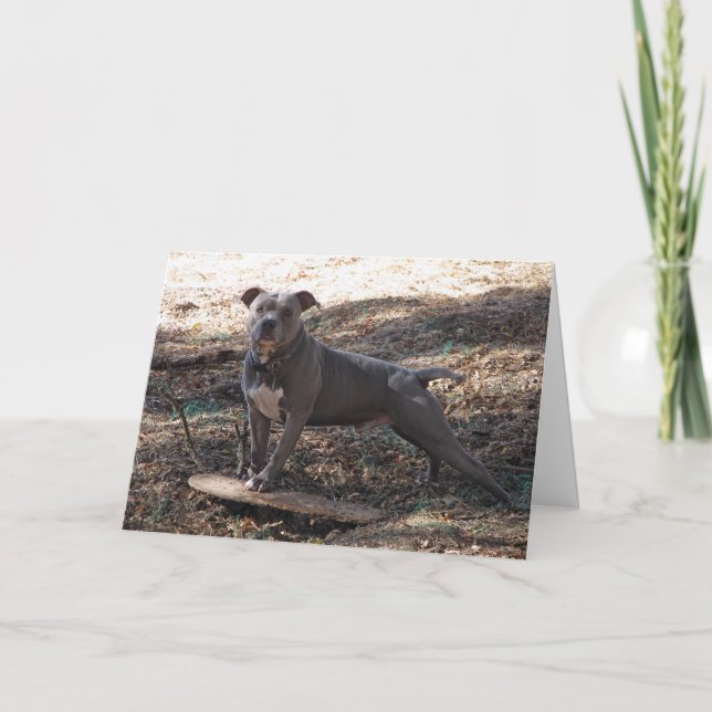 Pitbuli mit Skateboard Danke Karte (Vorderseite)