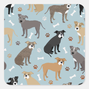 Pitbuli Paws and Bones Quadratischer Aufkleber