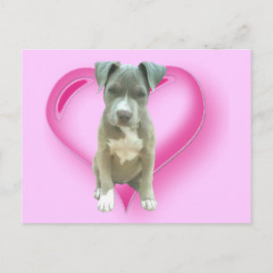 Pitbuli-Welpen-Postkarte Postkarte