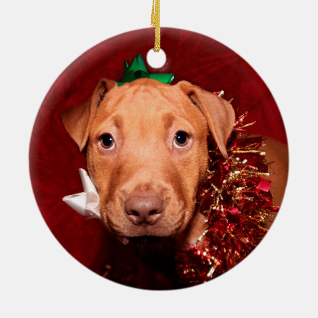Pitbuli Welpen Weihnachten Keramik Ornament (Hinten)