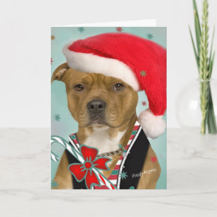 Pitbulkleider für den Weihnachtsmann Feiertagskarte