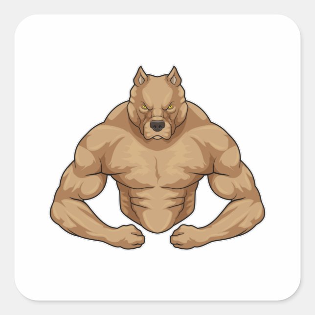 Pitbull als Bodybuilder extrem Quadratischer Aufkleber (Vorderseite)