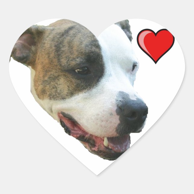 PItbull-Aufkleber Herz-Aufkleber (Vorderseite)