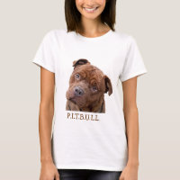 Pitbull "Benz" der Zäune für Fido Geschenkartikel