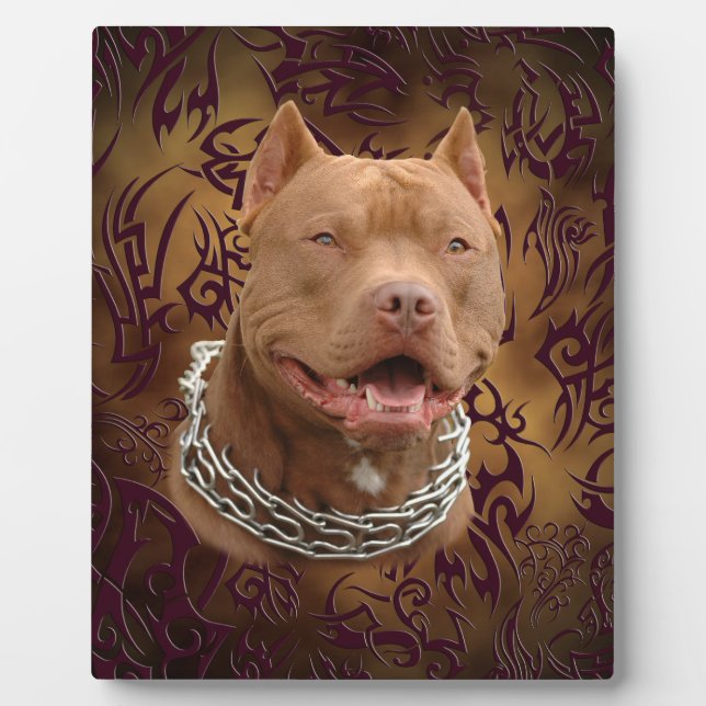 Pitbull Brown Fotoplatte (Vorderseite)