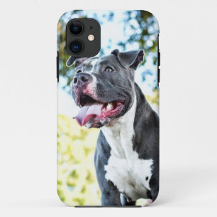 Pitbull iPhone 11 Hülle