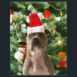 Pitbull Dog Christmas Tree Ornaments Snowman<br><div class="desc">Pitbull Hund Weihnachtsbaumschmuck Schneemann Doormat.Niedlich Pitbull Hund mit Weihnachtsbaumschmuck Schneemann im Hintergrund.</div>
