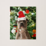 Pitbull Dog Christmas Tree Ornaments Snowman<br><div class="desc">Pitbull Hund Weihnachtsbaumschmuck Schneemann Doormat.Niedlich Pitbull Hund mit Weihnachtsbaumschmuck Schneemann im Hintergrund.</div>