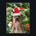 Pitbull Dog Christmas Tree Ornaments Snowman Feiertagspostkarte<br><div class="desc">Pitbull Hund Weihnachtsbaumschmuck Schneemann Doormat.Niedlich Pitbull Hund mit Weihnachtsbaumschmuck Schneemann im Hintergrund.</div>