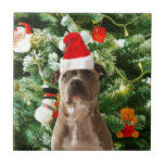 Pitbull Dog Christmas Tree Ornaments Snowman Fliese<br><div class="desc">Pitbull Hund Weihnachtsbaumschmuck Schneemann Doormat.Niedlich Pitbull Hund mit Weihnachtsbaumschmuck Schneemann im Hintergrund.</div>