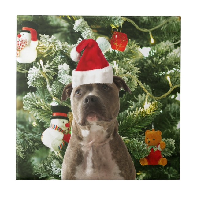Pitbull Dog Christmas Tree Ornaments Snowman Fliese (Vorderseite)