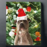 Pitbull Dog Christmas Tree Ornaments Snowman Fotoplatte<br><div class="desc">Pitbull Hund Weihnachtsbaumschmuck Schneemann Doormat.Niedlich Pitbull Hund mit Weihnachtsbaumschmuck Schneemann im Hintergrund.</div>