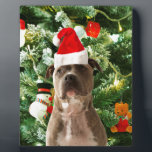 Pitbull Dog Christmas Tree Ornaments Snowman Fotoplatte<br><div class="desc">Pitbull Hund Weihnachtsbaumschmuck Schneemann Doormat.Niedlich Pitbull Hund mit Weihnachtsbaumschmuck Schneemann im Hintergrund.</div>