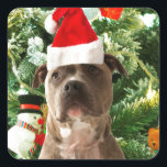 Pitbull Dog Christmas Tree Ornaments Snowman Quadratischer Aufkleber<br><div class="desc">Pitbull Hund Weihnachtsbaumschmuck Schneemann Doormat.Niedlich Pitbull Hund mit Weihnachtsbaumschmuck Schneemann im Hintergrund.</div>