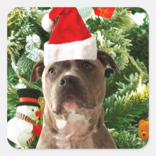 Pitbull Dog Christmas Tree Ornaments Snowman Quadratischer Aufkleber