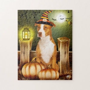 Pitbull Dog mit Hexenhut