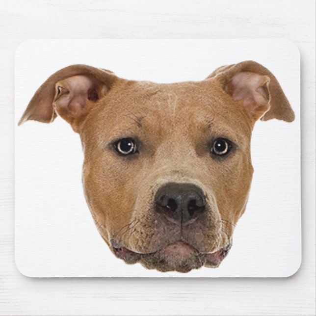 Pitbull Dog Mousepad (Vorne)