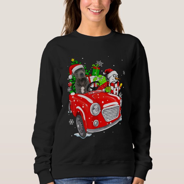 Pitbull Dog Santa Hat Red Car Christmas Sweatshirt (Vorderseite)