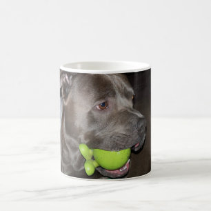 Pitbull Dog with Green Ball Dog Lovers  Kaffeetasse