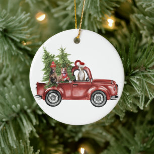 Pitbull en voiture Noël Ornement Drôle Noël Cadeau