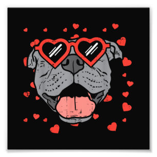 Pitbull Face Heart Glasses Valentinstag Haustier H Fotodruck