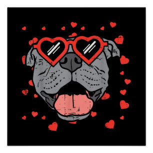 Pitbull Face Heart Glasses Valentinstag Haustier H Poster